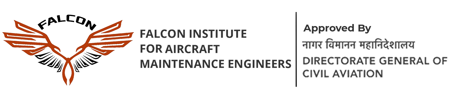 Falcon Institution of Aviation